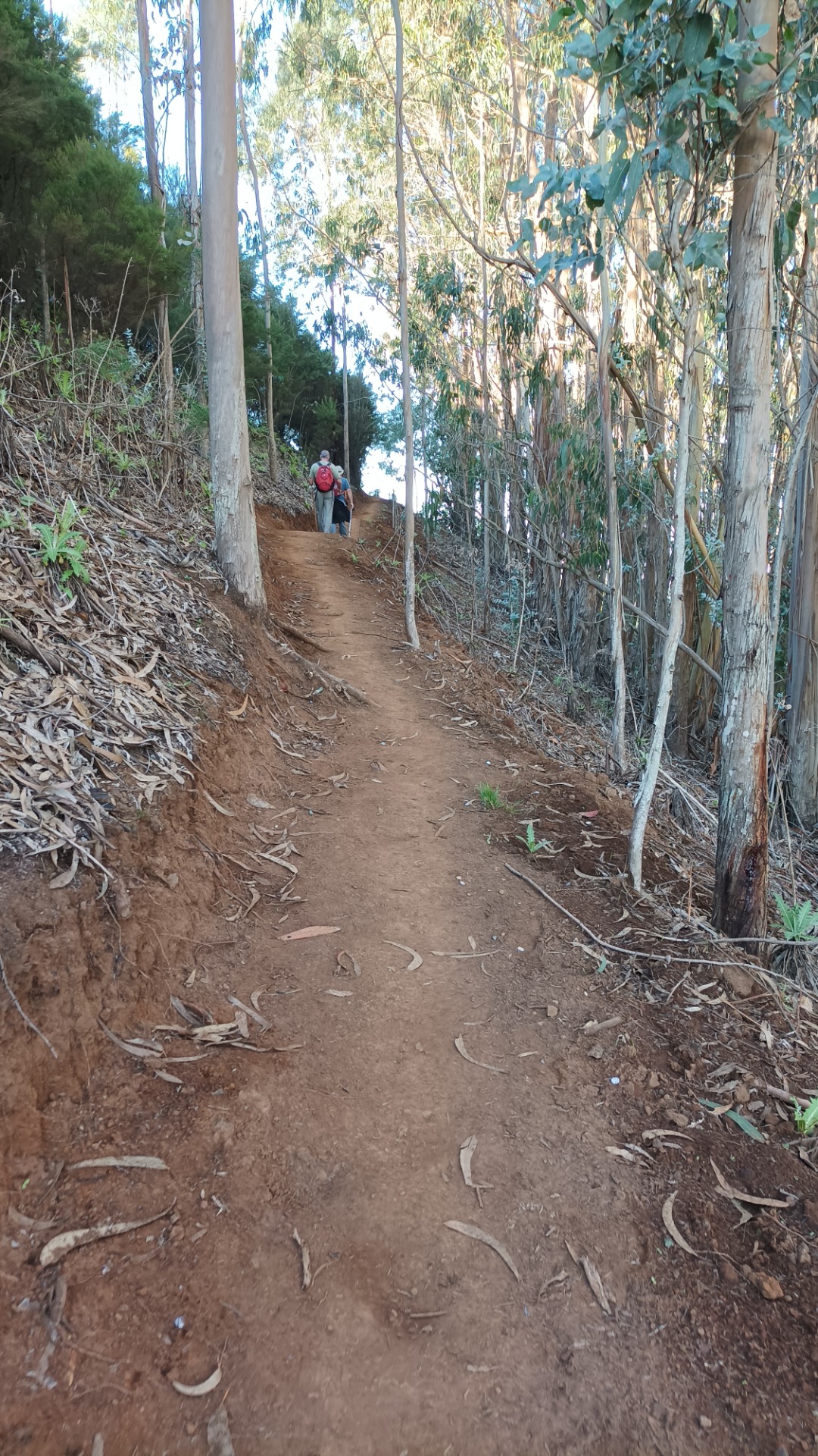 Viviendo una experiencia inolvidable